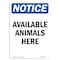 Signmission OSHA Notice, 5" Height, Available Animals Here Sign, 5" X 3.5", Portrait OS-NS-D-35-V-10272 - alternate 1